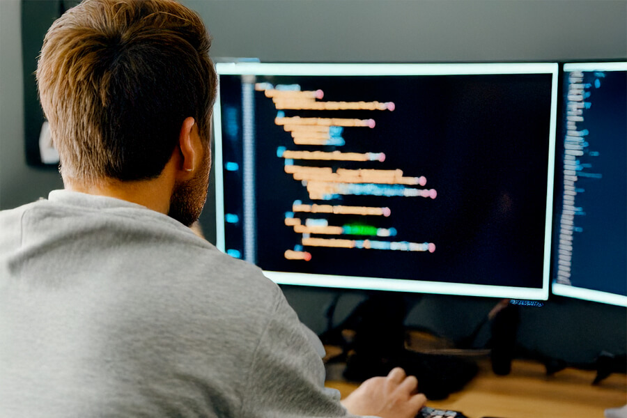 Software Developer