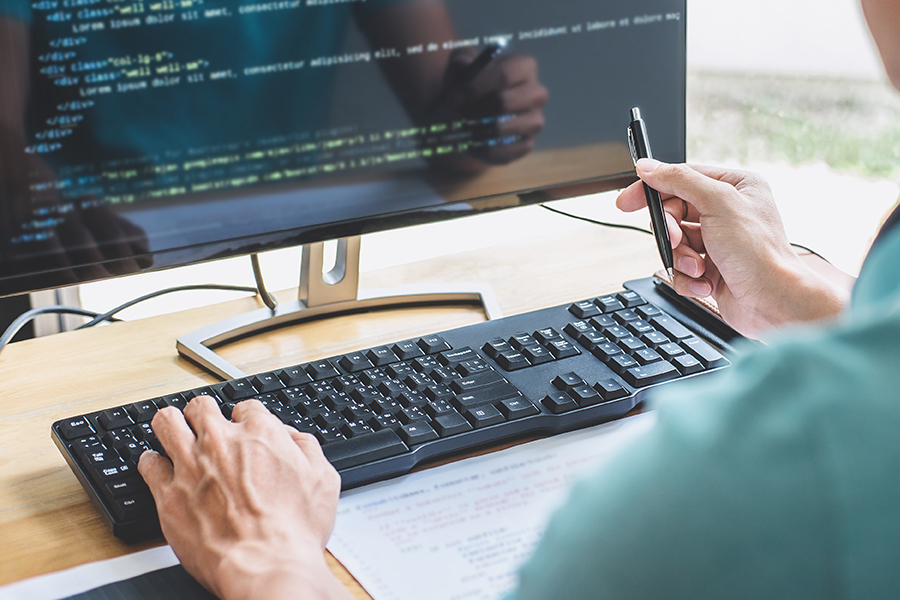 Software Developer